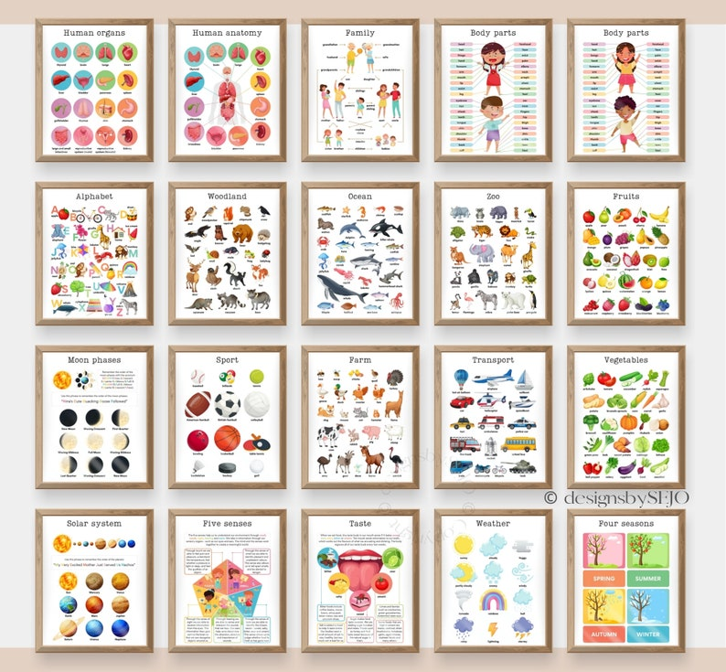 Set of 101 Colorful Educational Posters for Homeschool and Classroom Learning – Learning Posters for Alphabet and More